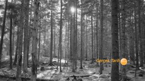 Bakan Murat Kurum Türkiye’deki anıt ağaçları yazdı