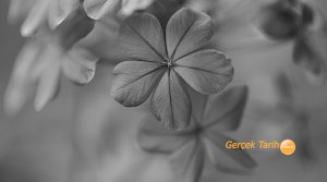 Kalbimin üzerinde gezinir ellerin