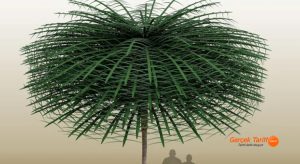 Bilim insanlarının şimdiye kadar görmediği türden olan 350 milyon yıllık ağaç fosilleri şaşırttı!