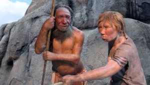 Neandertallerin beslenme sırları: Kurtçuklarla dolu bir menü