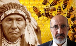 Arıların yok oluşu alarm veriyor: Dilipak’tan “Sıradaki biz olabiliriz” uyarısı