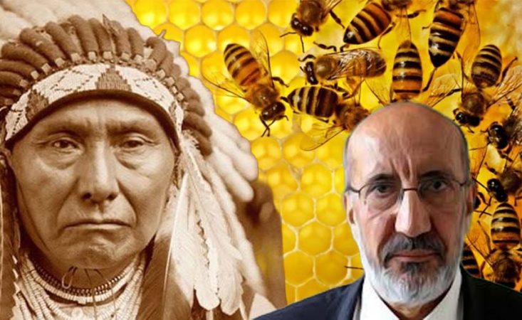 Arıların yok oluşu alarm veriyor: Dilipak’tan “Sıradaki biz olabiliriz” uyarısı