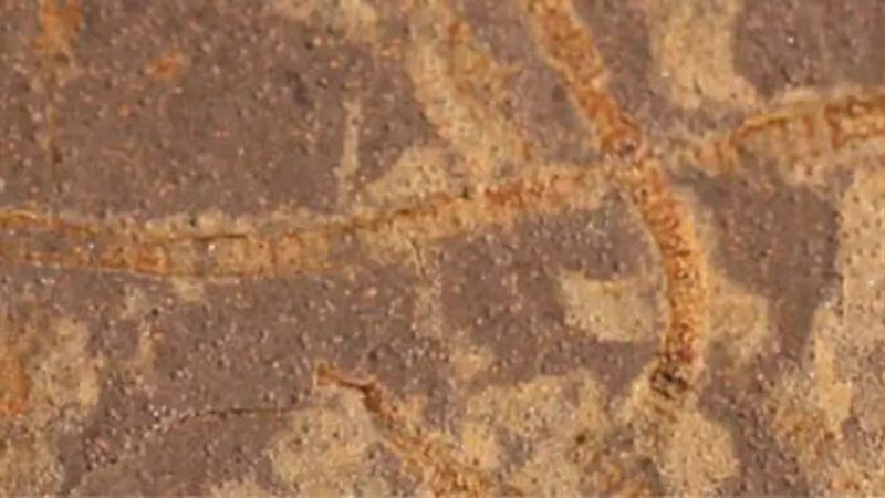 Dünya’daki yaşamın kökeni yeniden yazılıyor: 3,3 milyar yıllık kimyasal izler bulundu