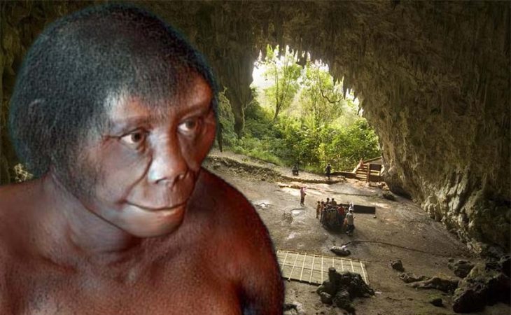 “Hobbit” insan türünün gizemi çözüldü: Yok oluşun nedeni iklim değişikliği mi?