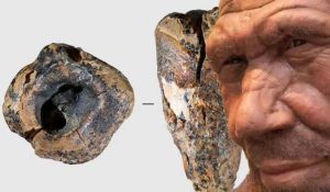 Neandertaller 60 bin yıl önce taş matkapla diş tedavisi yapmış olabilir