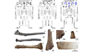 Göbekli Tepe’de mezarlar bulundu: Binlerce yıl bozulmamış!
